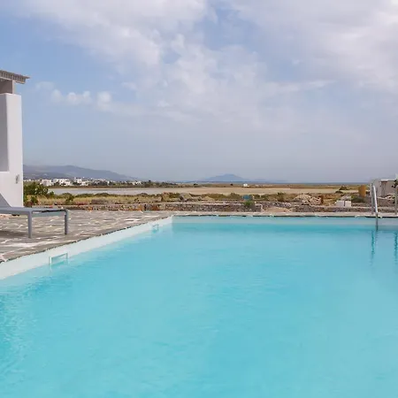 Naxos Beachfront Private With Pool Villa